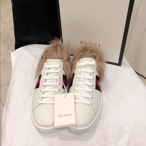 Brand New Gucci Ace sneaker with fur